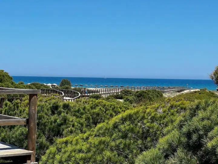 Casa Canarias En Alicante, Playa Y Piscina Гран-Алакант Экстерьер фото